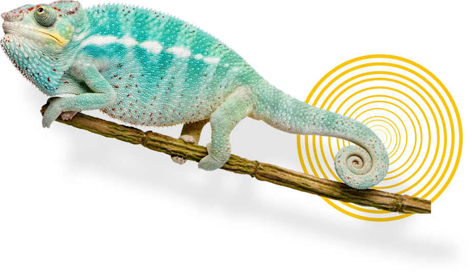 Chameleon